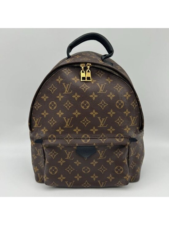 Louis Vuitton Palm Spring Backpack MM Sac main image 14